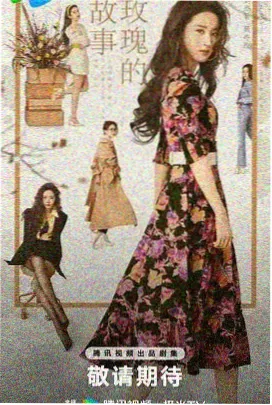 山茶花开 电视剧 2025